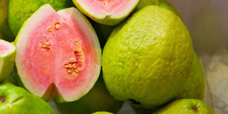 10-beneficios-da-goiaba-para-os-bebes