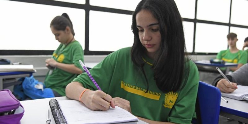 Aluna-Escola-Estadual-Lucia-Martins-Coelho-Matricula-2024-Foto-Bruno-Rezende-730x480