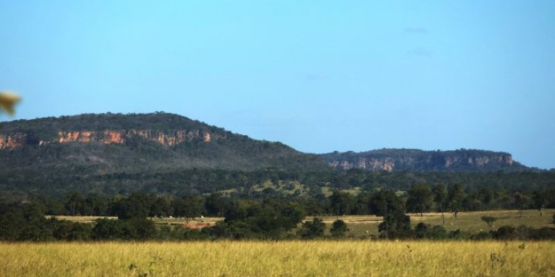 Tempo-Seco-Calor-Rio-Negro-Foto-Alvaro-Rezende-730x480