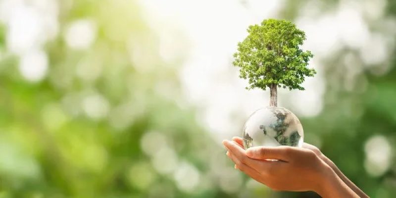 O meio ambiente reúne todos os elementos para o desenvolvimento da vida.