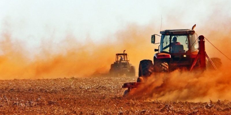 Plantação de soja (foto divulgação)