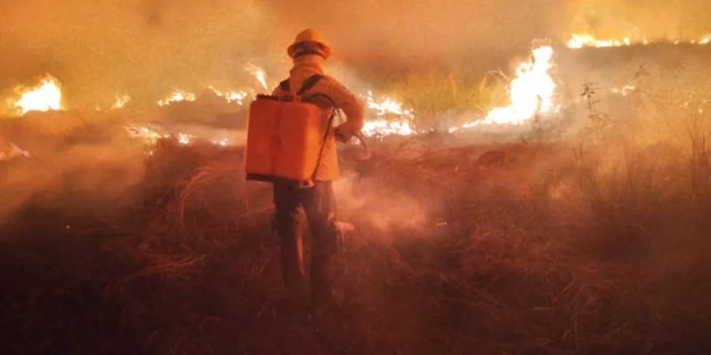 Brigadista combate incêndio no Pantanal.