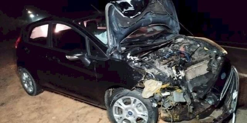 Veículo da família teve a frente totalmente destruída após atingir anta (Foto: Sidney Assis)