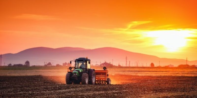 Ministro da Agricultura sinaliza que prioridade será o médio produtor e defende "inovação" no modelo de seguro rural