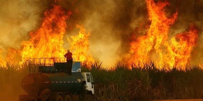 Foto: Unica/Divulgação