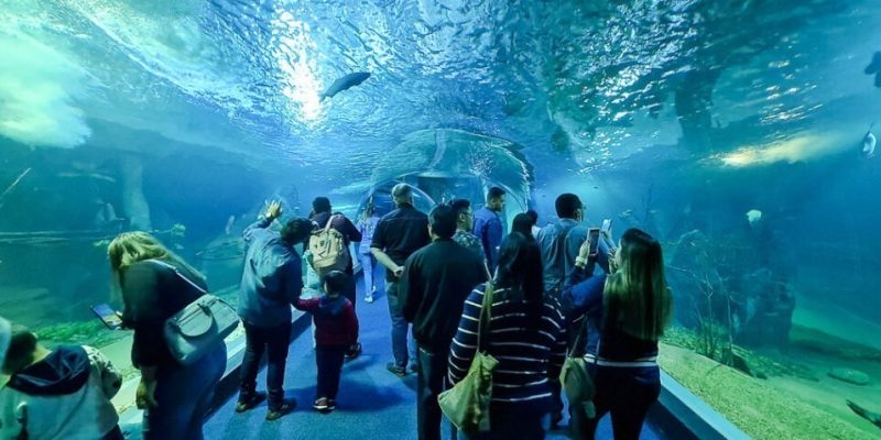 O maior aquário de água doce do mundo