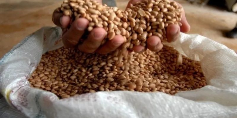 Recomendação do Ibrafe é de venda para quem tem estoques