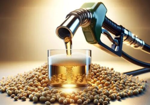 O produto respondeu por 75,1% da produção nacional no primeiro semestre de 2025