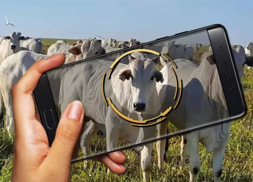 Imagem - Compre Rural