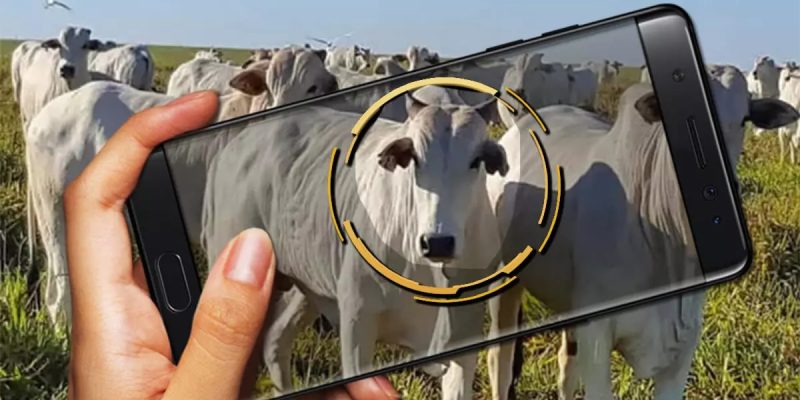 Imagem - Compre Rural