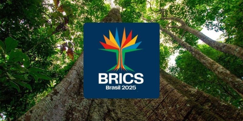 Receberemos os chefes de Estado dos 20 países que integram o BRICS nas duas categorias, de membros plenos e parceiros.