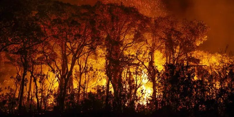Desde o início dos registros, 2022 teve maior número de queimadas - Imagens - Joedson Alves
