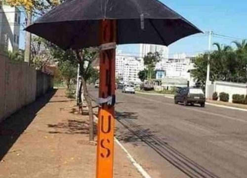 Imagens - Reprodução