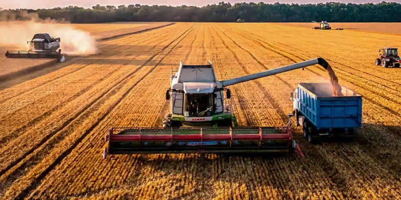 Avanço da safra e queda nos prêmios levam à queda dos preços de soja no Brasil
