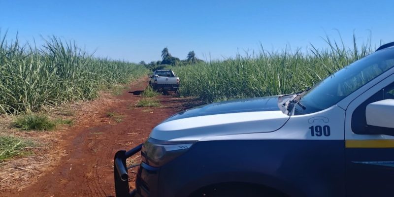 Homem estava dentro do carro, em avançado estado de decomposição (Foto: Leandro Holsbach)
