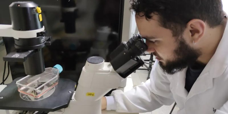 O termo de cooperação foi assinado nesta quinta-feira, 27, na sede da Capes