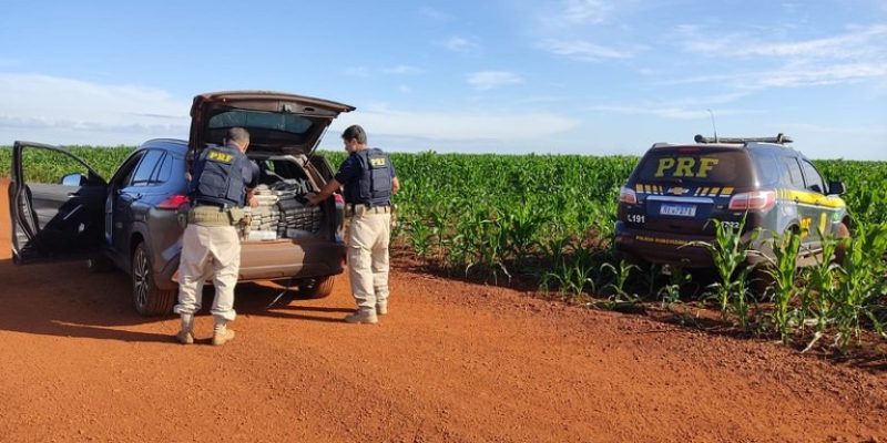 Corolla Cross abandonado com maconha ao lado de lavoura, em Guia Lopes da Laguna