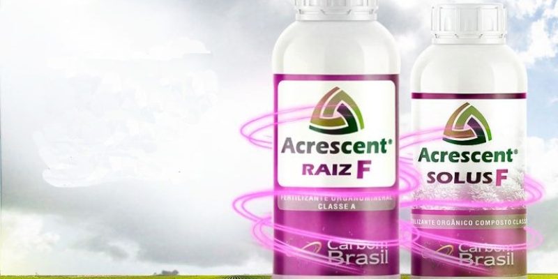 Os dois produtos serão lançados nesta quinta, em Foz do Iguaçu