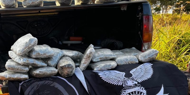A ação aconteceu no âmbito da operação “Nárke II” - Imagens - Polícia Civil MS
