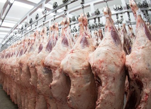 Há a expectativa de que os europeus aceitem um período de transição para atendimento pleno das regras na cadeia