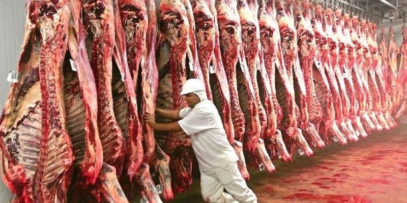 Imagem - Divulgação/EBC