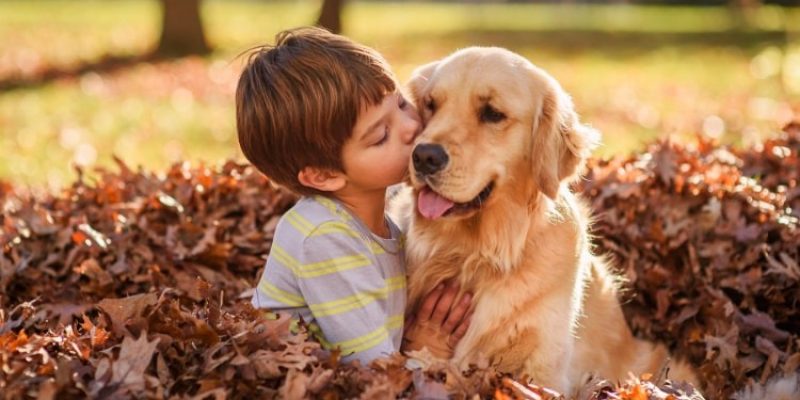 A finalidade é orientar a população sobre crimes contra a vida animal e a guarda responsável de animais domésticos
