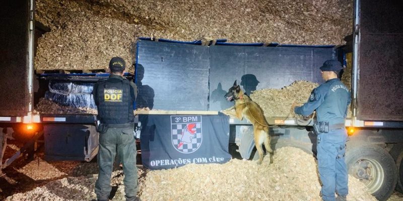Policiais e o cão farejador da PM que localizou a droga entre carga de cavaco de madeira  - Foto: Divulgação