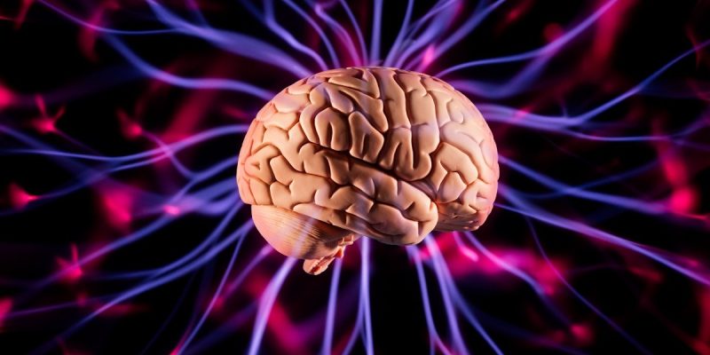 Alimentos ricos em antioxidantes, ácidos graxos ômega-3 e vitaminas essenciais podem atuar na proteção das células cerebrais contra danos