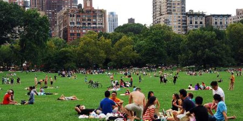 Pessoas conversam e descansam tentando manter o distanciamento social no Central Park, em Nova York