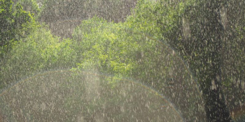 Sunshower or sun shower, meteorological phenomenon, rain falls, sun is shining. Solar glare from rain drop, rainbow. Sunshower against the background of trees and meadow. Rain and sun at the same time