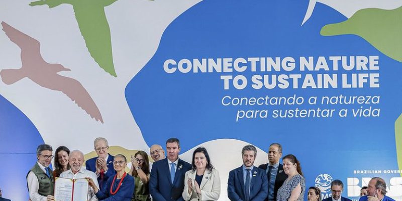 Imagem - Divulgação