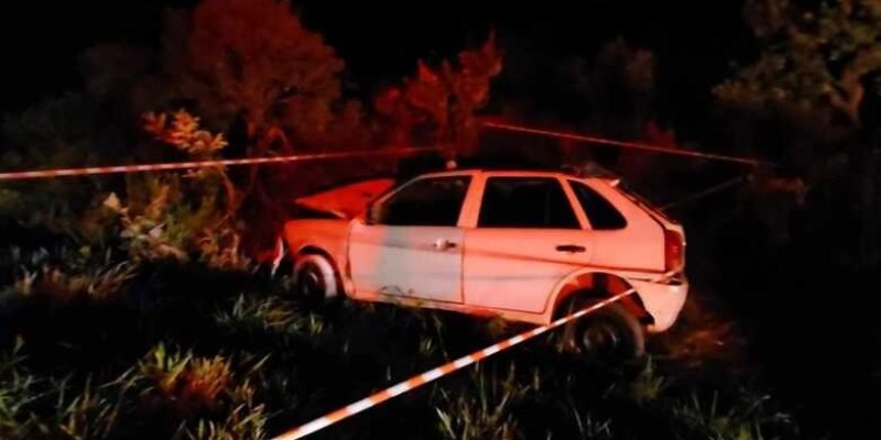 Veículo parou na vegetação nas margens da rodovia   (Douglas Amaral/Noticidade)