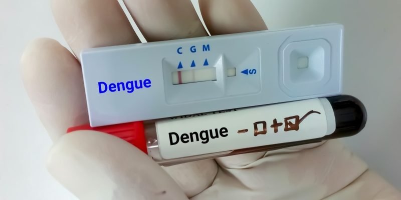 dengui