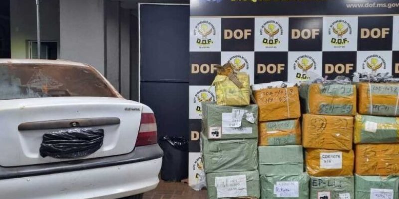 Imagem - DOF/Divulgação