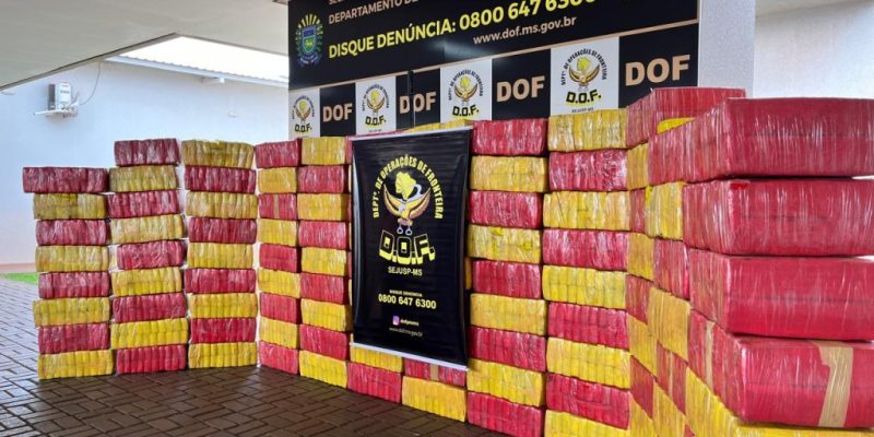 Fardos de maconha que estavam em caminhão com carga de cana (Foto: DOF/Divulgação)