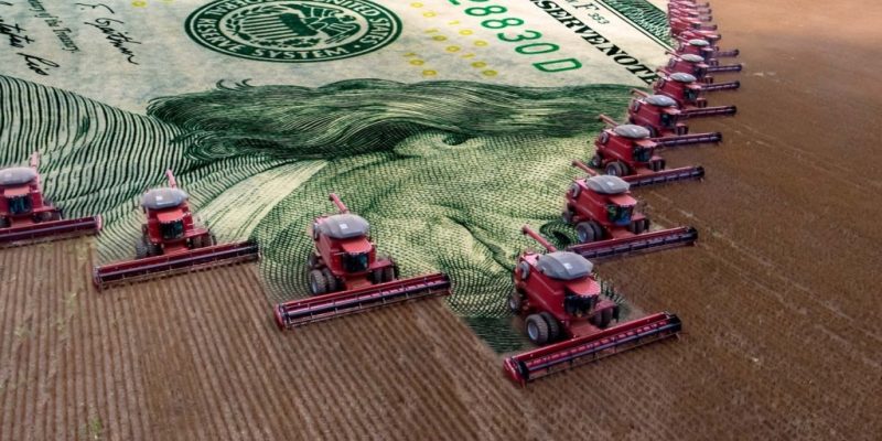 dolar no agro