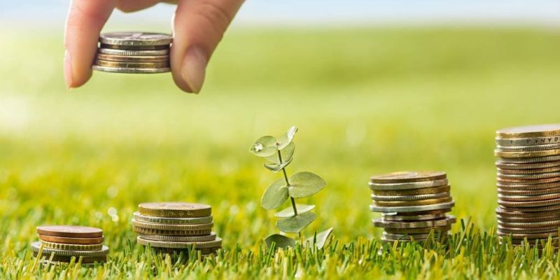 Crescimento de 0,8 ponto percentual em relação ao mesmo período de 2023