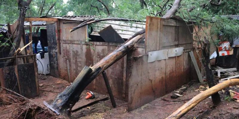 Uma das casas atingidas pelas quedas de árvores (Foto: Osmar Veiga)