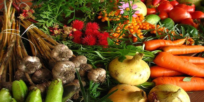 Ecoforte histórico começou a ser elaborado em novembro do ano passado
