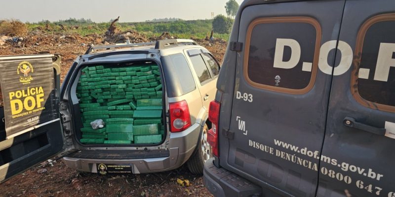 Droga seria levada para o estado de Minas Gerais (Foto: Divulgação/DOF)