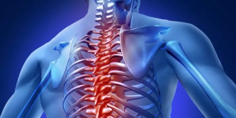 Ilustração da coluna vertebral - 
IME Clínica Cidadã/Reprodução