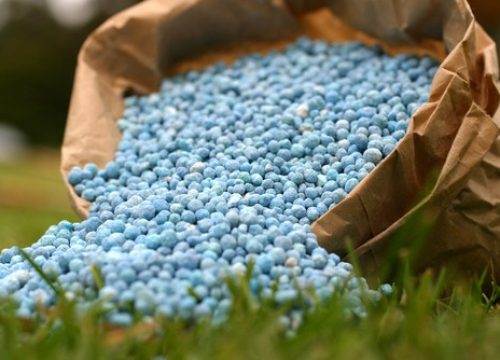 fertilizantes