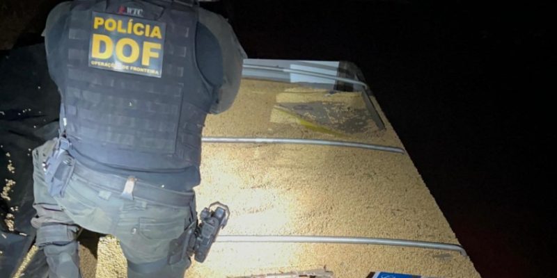 Pacotes de cigarro paraguaio estavam escondidos sob fina camada de milho (Foto: DOF/Divulgação)