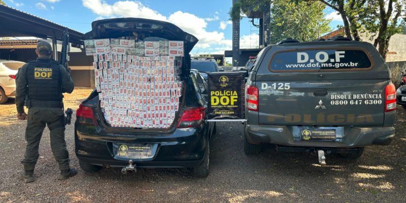 Cigarro apreendidos pela polícia (Foto: Assessoria)