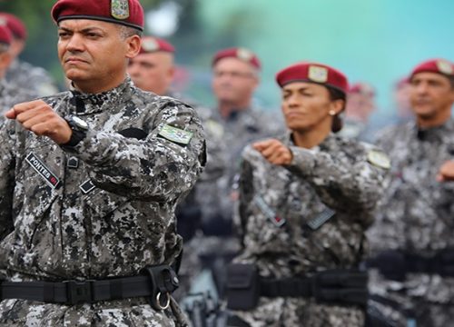 A Força Nacional atuará no combate ao desmatamento, extração ilegal de minério e madeira, invasão de áreas federais e combate aos incêndios