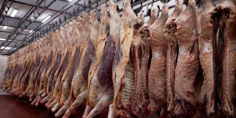 Número de emissões de habilitações em um único anúncio é o maior já registrado na história