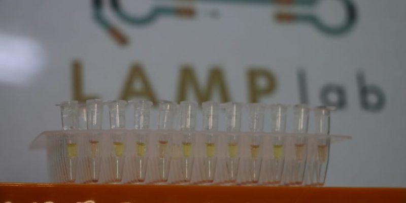 fundect_centelha_lamplab3-730x480
