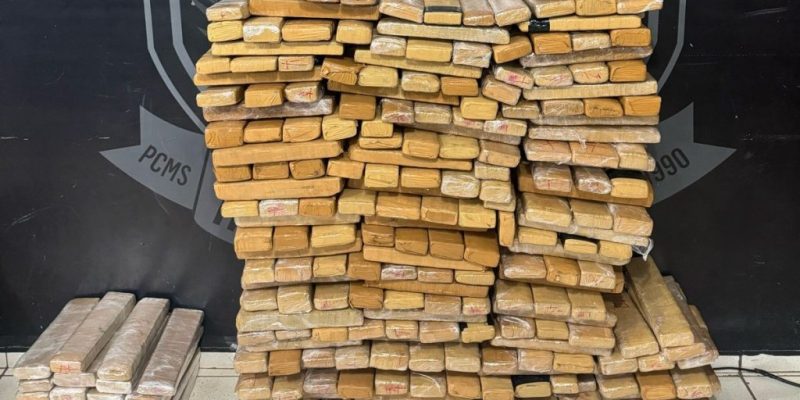 Tabletes de maconha apreendidos pelo Garras (Foto: Divulgação)