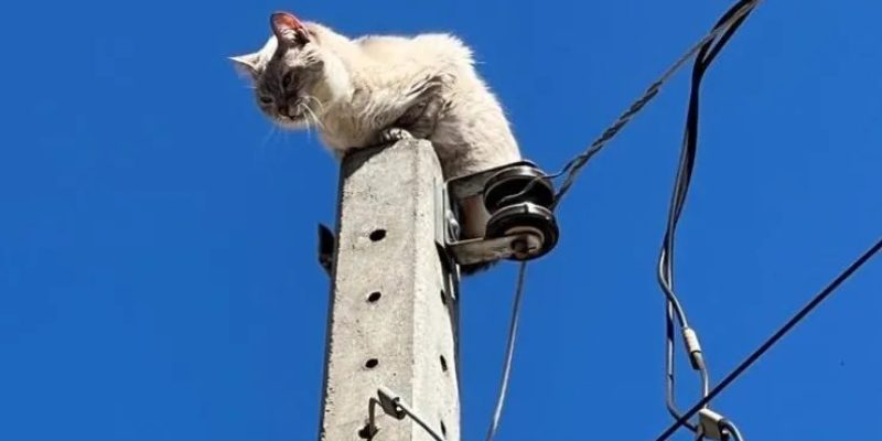 O problema é recorrente, principalmente na região central da cidade