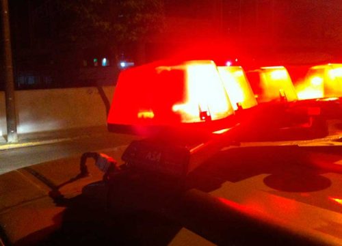 giroflex-grande-policia-noticias
